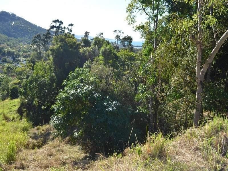 24 Curlew Court, Jubilee Pocket QLD 4802