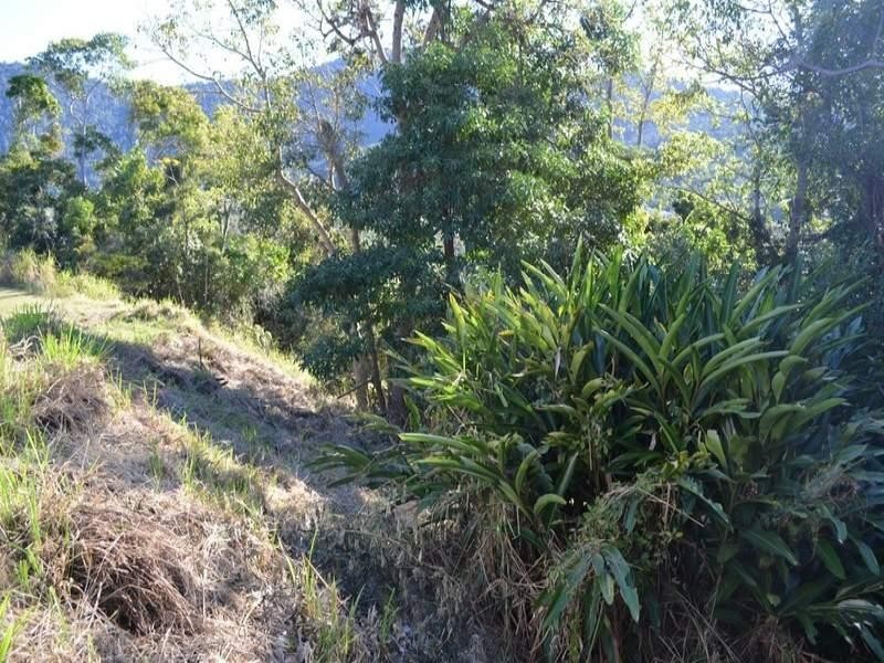 24 Curlew Court, Jubilee Pocket QLD 4802