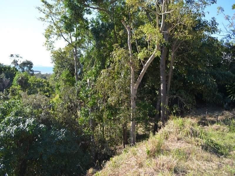 24 Curlew Court, Jubilee Pocket QLD 4802