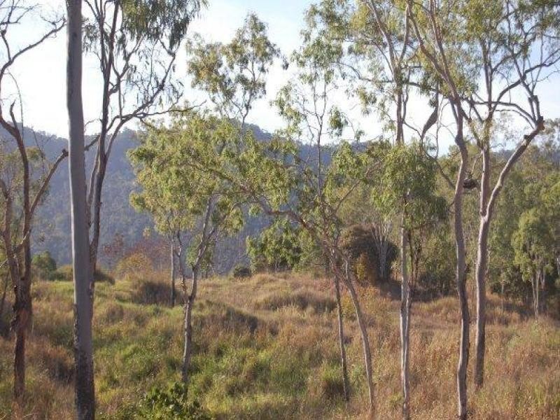 Lot 6 Holloway Drive, Sugarloaf QLD 4800