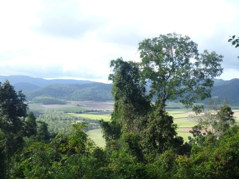 172 Staniland, Strathdickie QLD 4800
