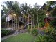 155 Kookaburra Drive, Cannonvale QLD 4802