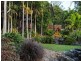 155 Kookaburra Drive, Cannonvale QLD 4802