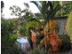 155 Kookaburra Drive, Cannonvale QLD 4802