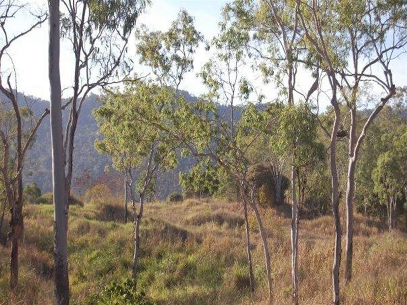 Lot 6 Holloway Drive, Sugarloaf QLD 4800