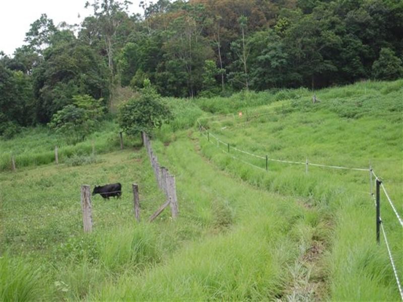 Lot 6 Holloway Drive, Sugarloaf QLD 4800