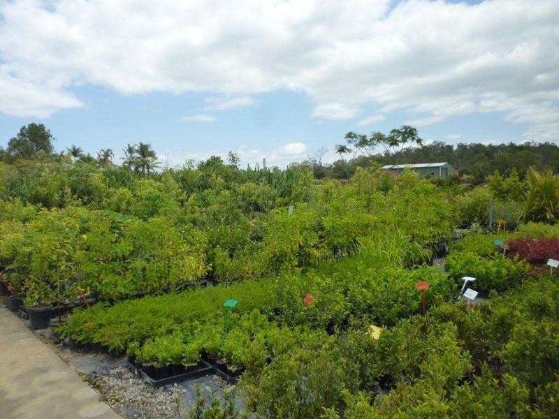 1697 Shute Habour Road, Cannonvale QLD 4802