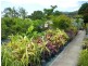 1697 Shute Habour Road, Cannonvale QLD 4802