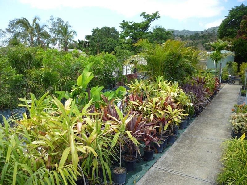 1697 Shute Habour Road, Cannonvale QLD 4802