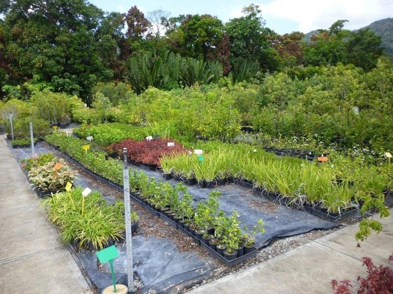 1697 Shute Habour Road, Cannonvale QLD 4802