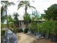 1697 Shute Habour Road, Cannonvale QLD 4802