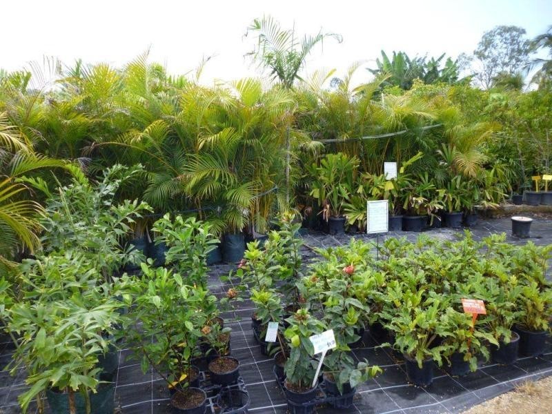 1697 Shute Habour Road, Cannonvale QLD 4802