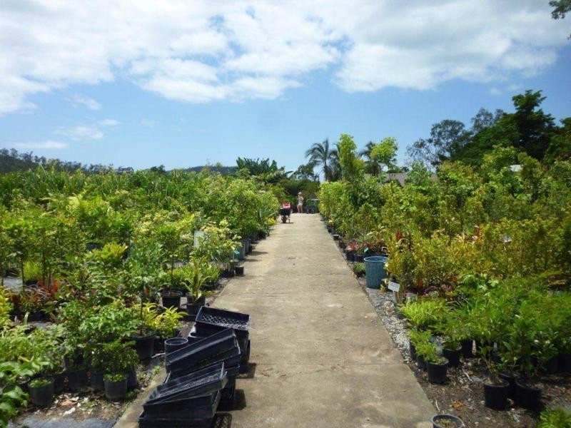 1697 Shute Habour Road, Cannonvale QLD 4802