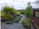 1697 Shute Habour Road, Cannonvale QLD 4802