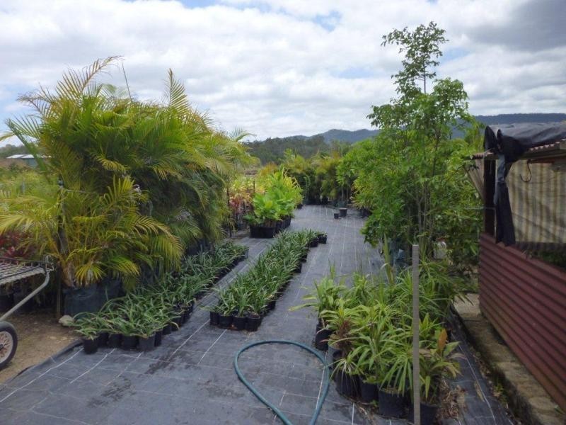 1697 Shute Habour Road, Cannonvale QLD 4802