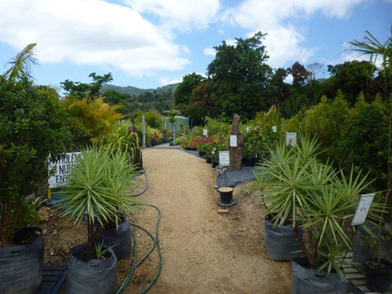 1697 Shute Habour Road, Cannonvale QLD 4802