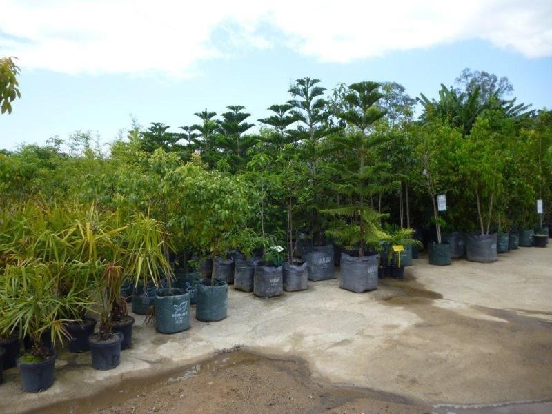 1697 Shute Habour Road, Cannonvale QLD 4802