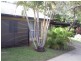 41/28 Island Drive, Cannonvale QLD 4802