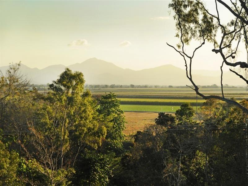 84 Tyree Road, Mount Julian QLD 4800