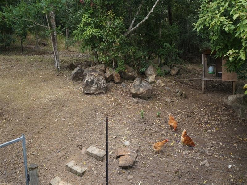 22 Kiingfisher Terrace, Jubilee Pocket QLD 4802