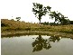 Boonah QLD 4310