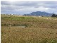 Teviotville QLD 4309