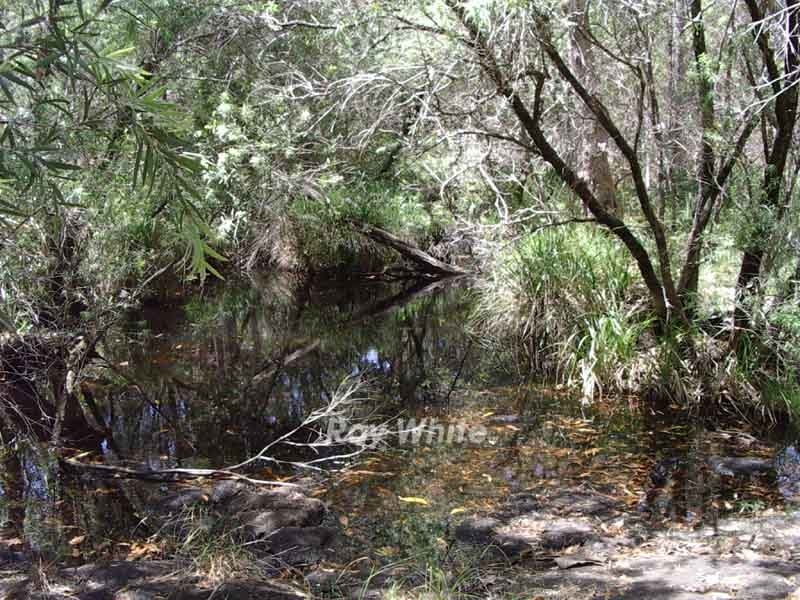 Carneys Creek QLD 4310