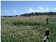 Kalbar QLD 4309