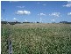 Kalbar QLD 4309