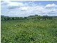 Boonah QLD 4310