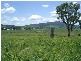 Boonah QLD 4310