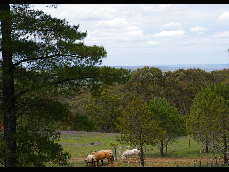 Warwick QLD 4370