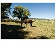 Kalbar QLD 4309