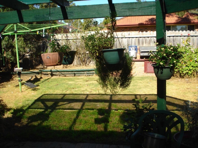 20 Claremont Avenue, Wattle Grove NSW 2173