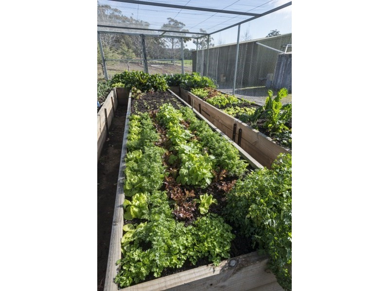 127 Kettles Lane, Tallong NSW 2579