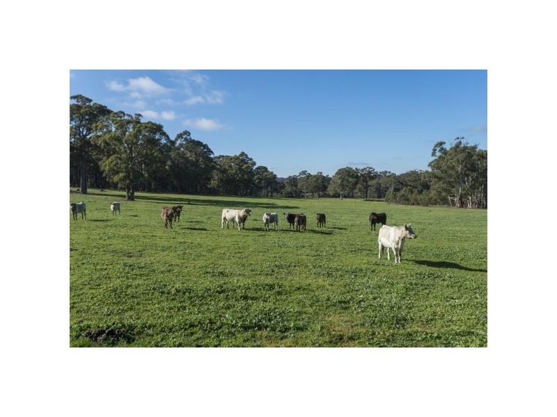 127 Kettles Lane, Tallong NSW 2579