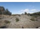 127 Kettles Lane, Tallong NSW 2579