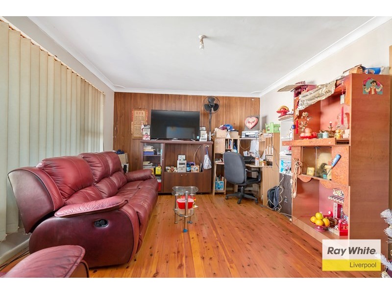 46 Harrington Street, Cabramatta West NSW 2166