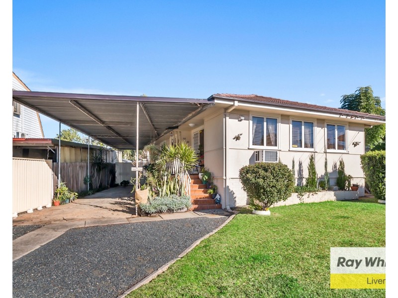 16 Southdown Street, Miller NSW 2168