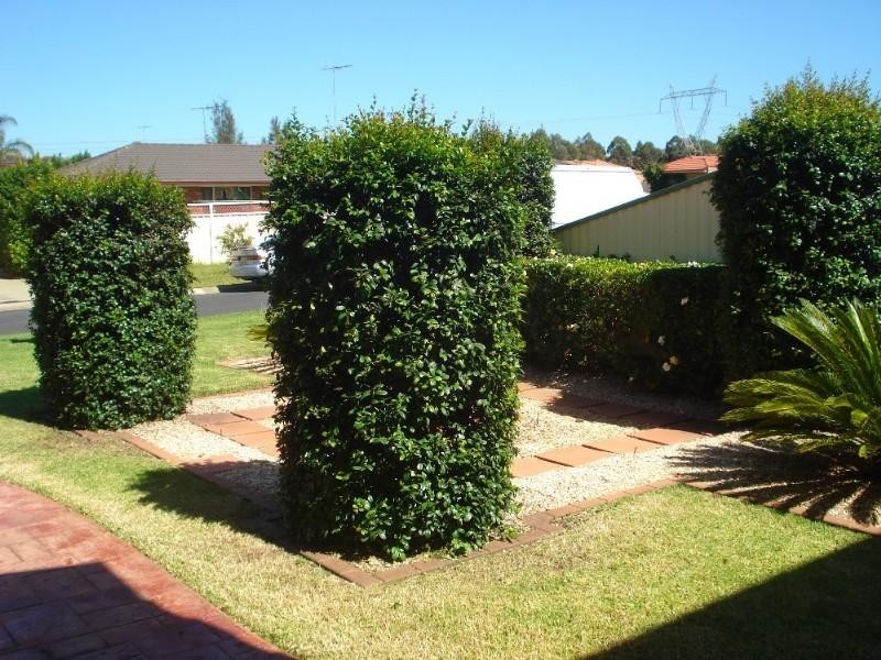 Cecil Hills NSW 2171