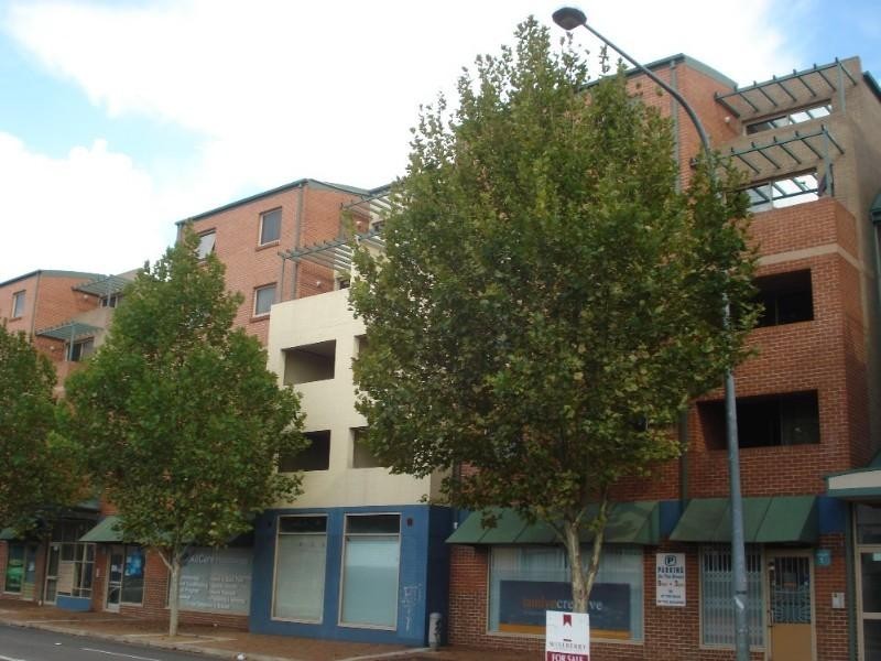 18/100 Terminus Street, Liverpool NSW 2170