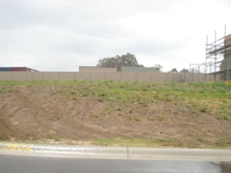 41 Alexandra Crescent, Harrington Park NSW 2567