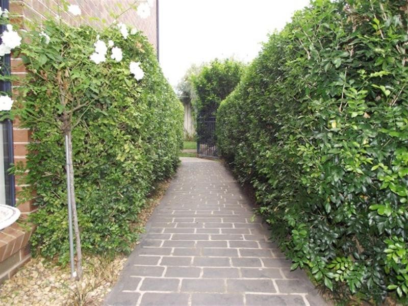 18 Labuan Road, Holsworthy NSW 2173