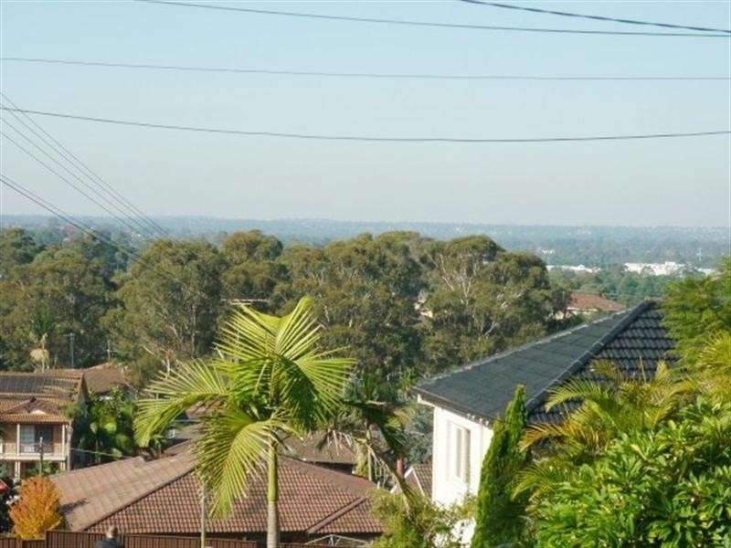 130 Hemphill Avenue, Mount Pritchard NSW 2170