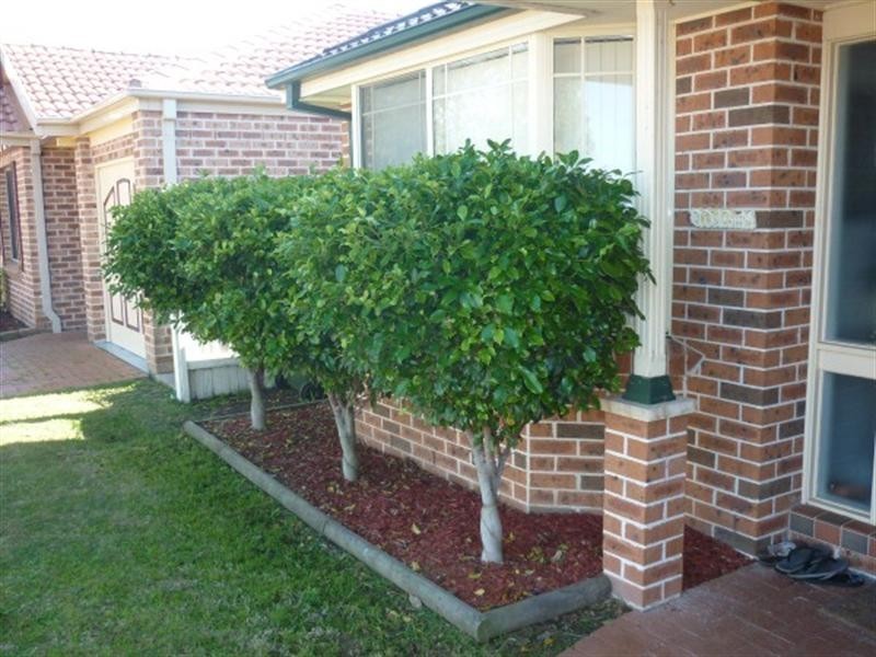 47 Bugong Street, Prestons NSW 2170