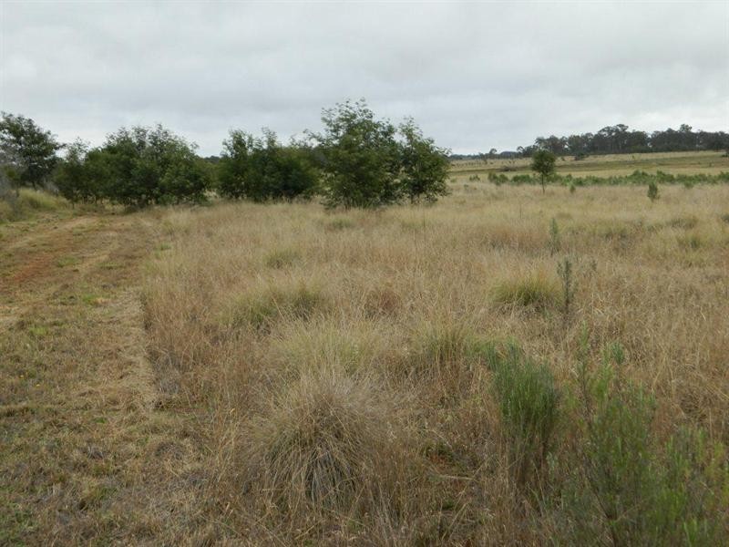 973 Benair Road, Inverlaw QLD 4610