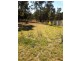 Lot 153 Hawthorne Street, Nanango QLD 4615