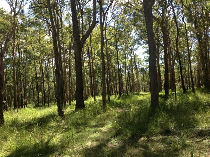 Blackbutt QLD 4306