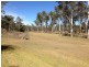 Nanango QLD 4615