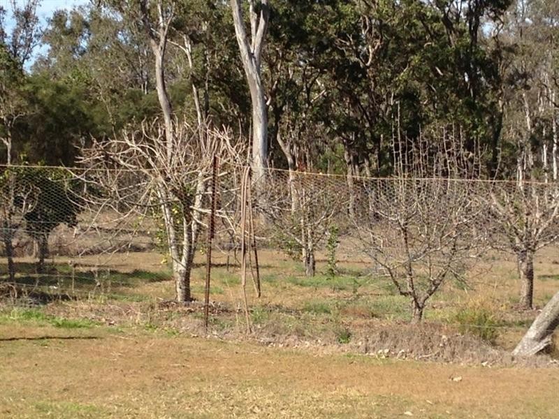 Nanango QLD 4615